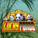 Judi Online Terpercaya Harvey777 Lucky Panda Joker